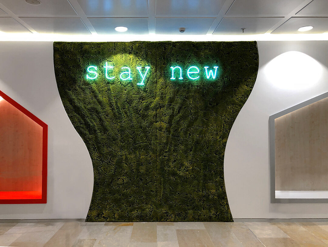 Centro comercial Moraleja Green diseño áreas de descanso