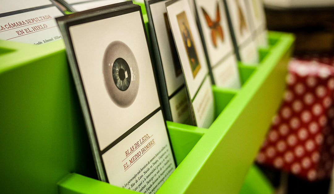 GABINETE DE LA CURIOSIDAD PARA NIÑOS