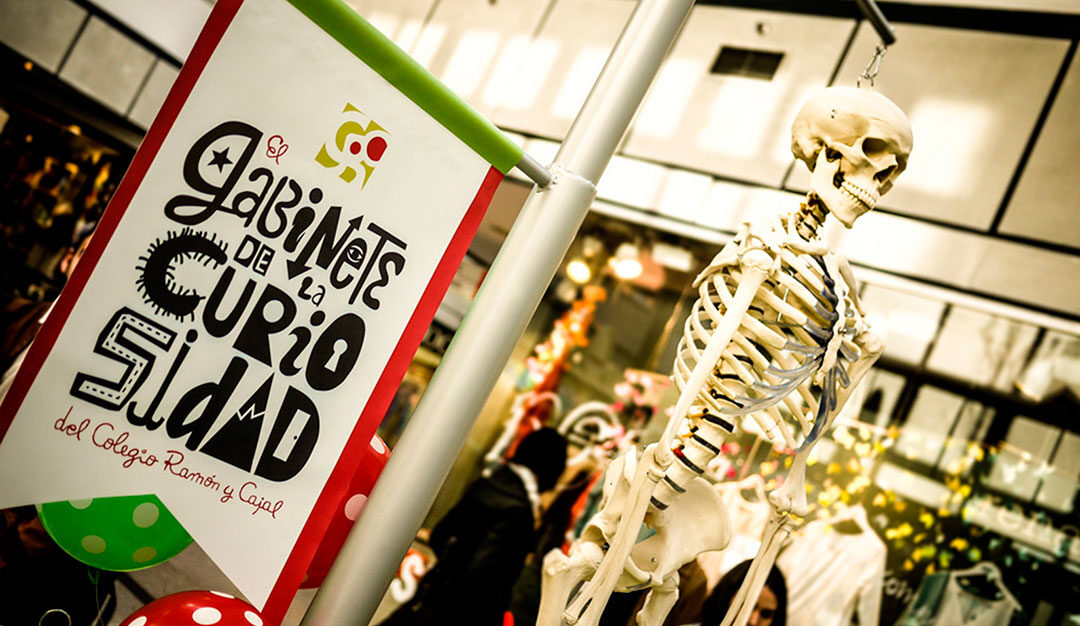 GABINETE DE LA CURIOSIDAD INFANTIL