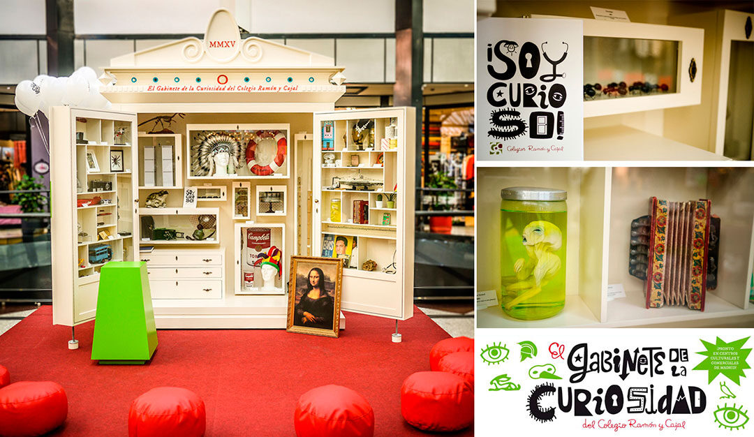 Gabinete de la curiosidad del colegio Ramón y Cajal