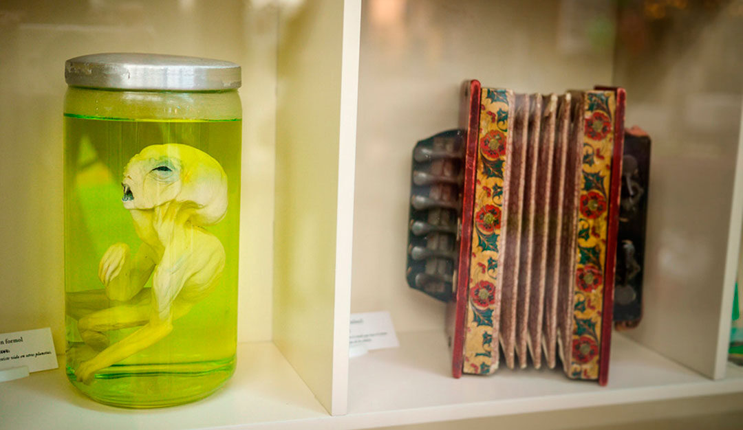 Gabinete de la curiosidad infantil